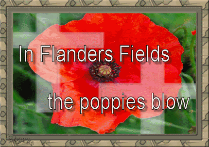 InFlandersFields.gif image by GrayhawkDD